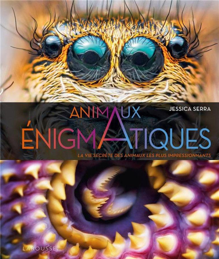 ENIGMATIQUES - LA VIE SECRETE DES ANIMAUX LES PLUS IMPRESSIONNANTS - SERRA JESSICA - LAROUSSE