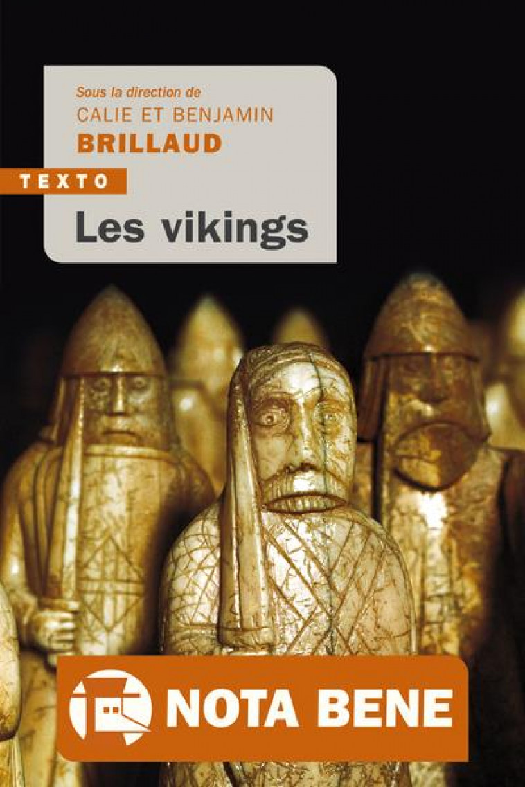 LES VIKINGS - BRILLAUD - TALLANDIER