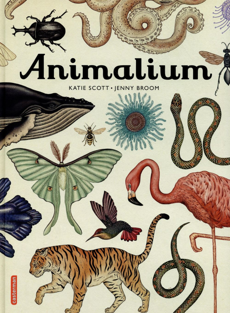 ANIMALIUM - BROOM/SCOTT - Casterman