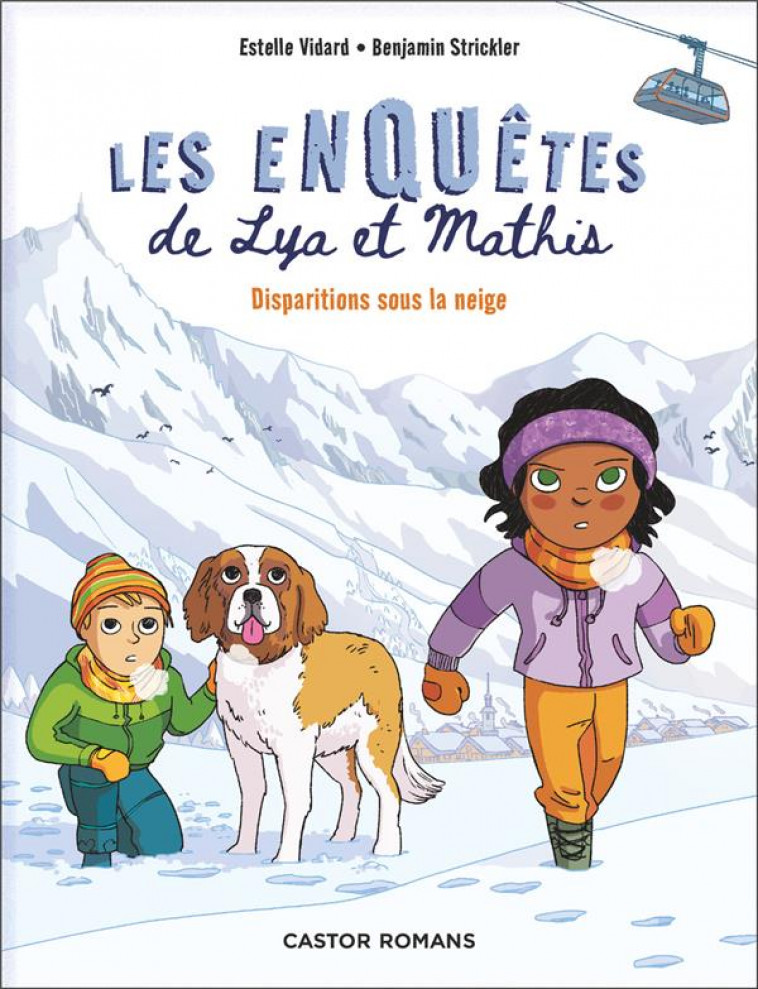 LES ENQUETES DE LYA ET MATHIS - DISPARITIONS SOUS LA NEIGE - VIDARD/STRICKLER - FLAMMARION