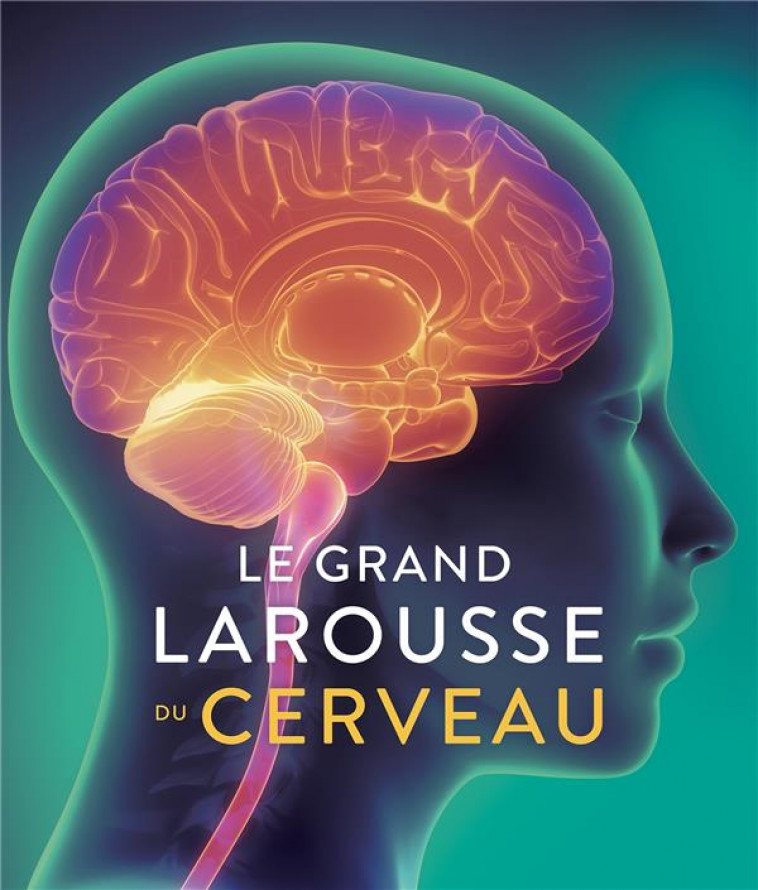 LE GRAND LAROUSSE DU CERVEAU - COLLECTIF - LAROUSSE