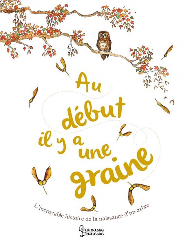 AU DEBUT IL Y A UNE GRAINE - WEBBER JENNIE - LAROUSSE