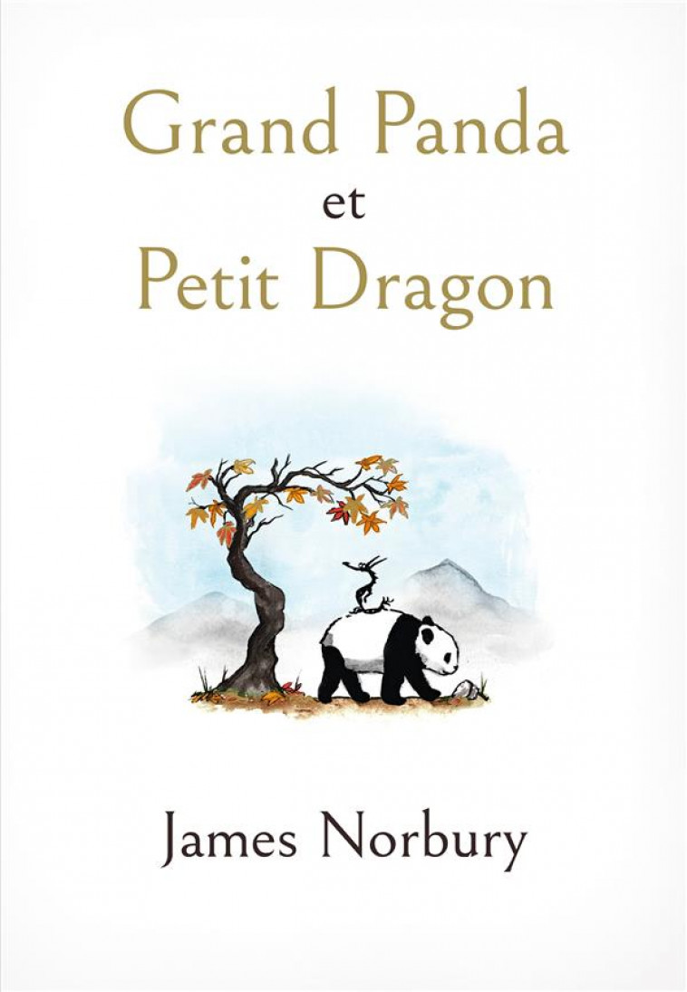 GRAND PANDA ET PETIT DRAGON - NORBURY JAMES - HACHETTE