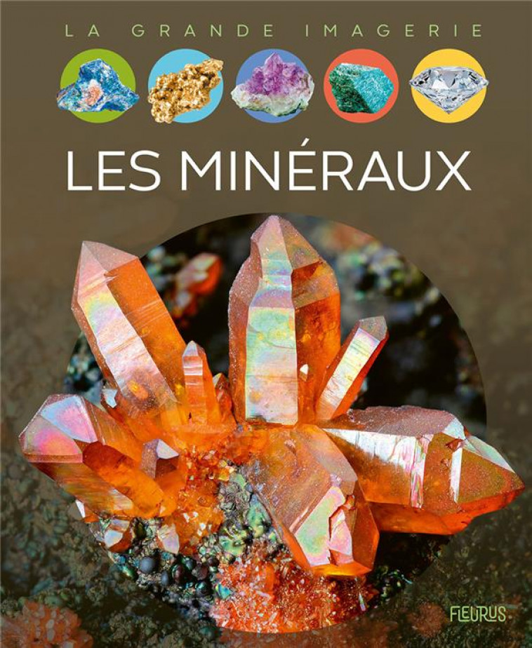 LES MINERAUX - SIMON PHILIPPE - FLEURUS