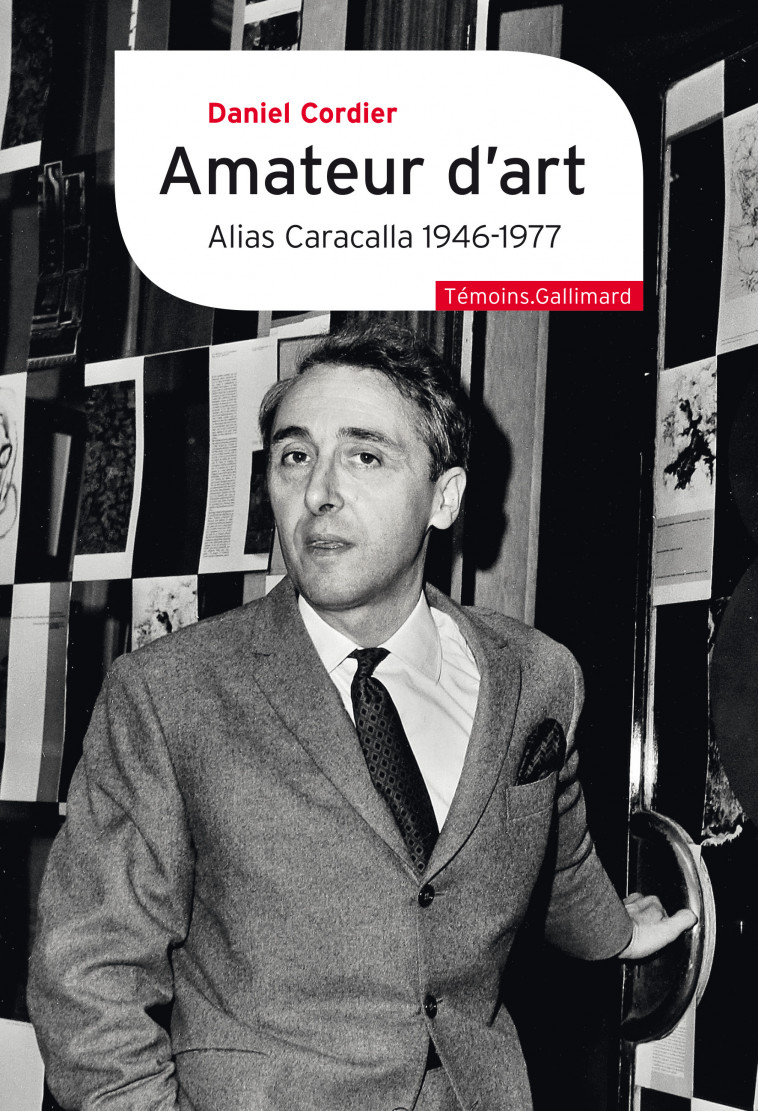 Amateur d'art - Cordier Daniel, Vergez-Chaignon Bénédicte - GALLIMARD