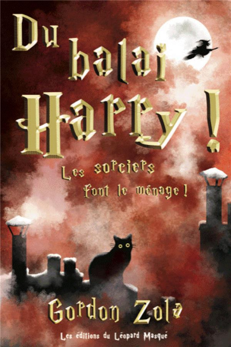 DU BALAI, HARRY ! LES SORCIERS FONT LE MENAGE ! - ZOLA, GORDON - LEOPARD MASQUE