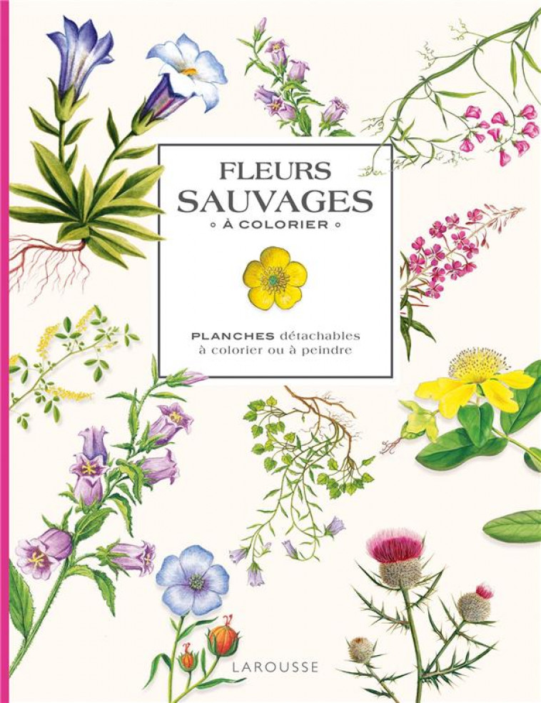 FLEURS SAUVAGES A COLORIER - PLANCHES DETACHABLES A COLORIER OU A PEINDRE - XXX - NC