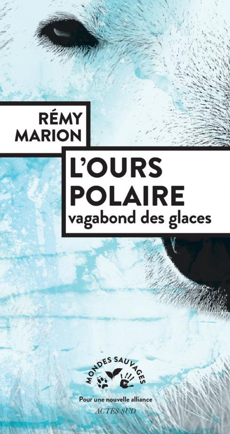 L-OURS POLAIRE, VAGABOND DES GLACES - MARION REMY - ACTES SUD