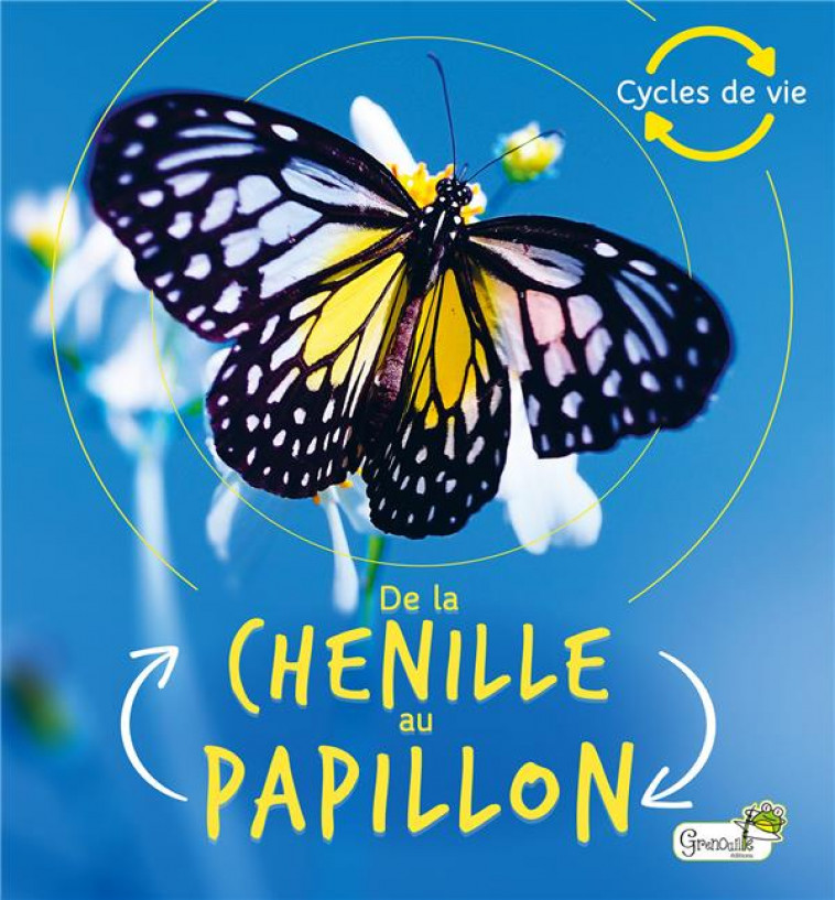 DE LA CHENILLE AU PAPILLON - DE LA BEDOYERE C. - GRENOUILLE