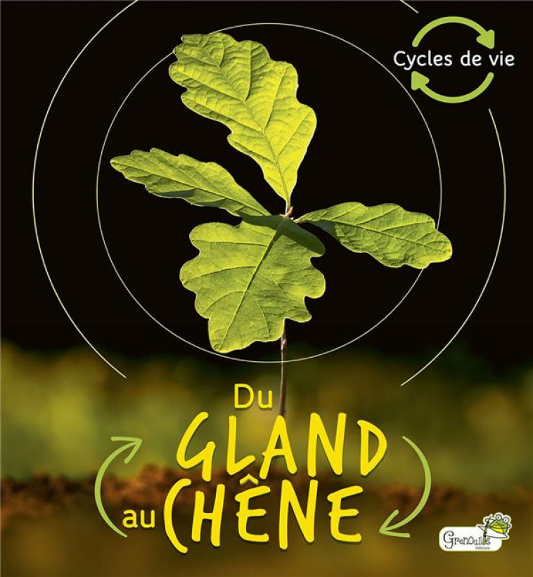 DU GLAND AU CHENE - DE LA BEDOYERE - GRENOUILLE