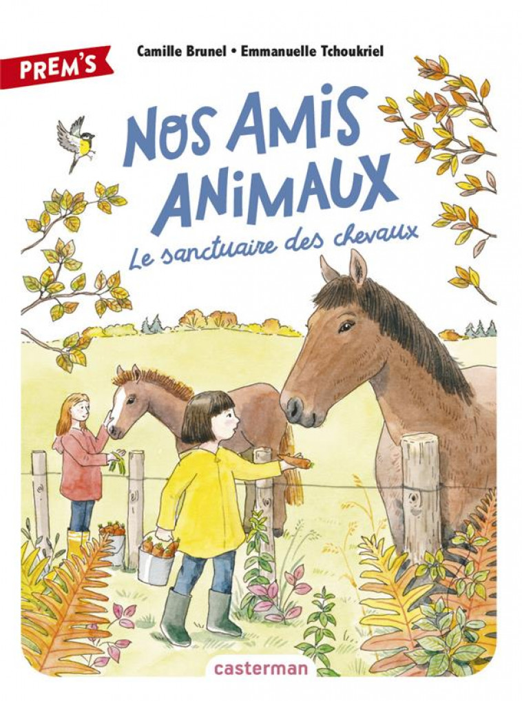 NOS AMIS ANIMAUX - VOL03 - LE SANCTUAIRE DES CHEVAUX - BRUNEL/TCHOUKRIEL - CASTERMAN