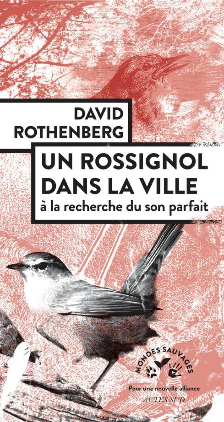 UN ROSSIGNOL DANS LA VILLE - ROTHENBERG - ACTES SUD