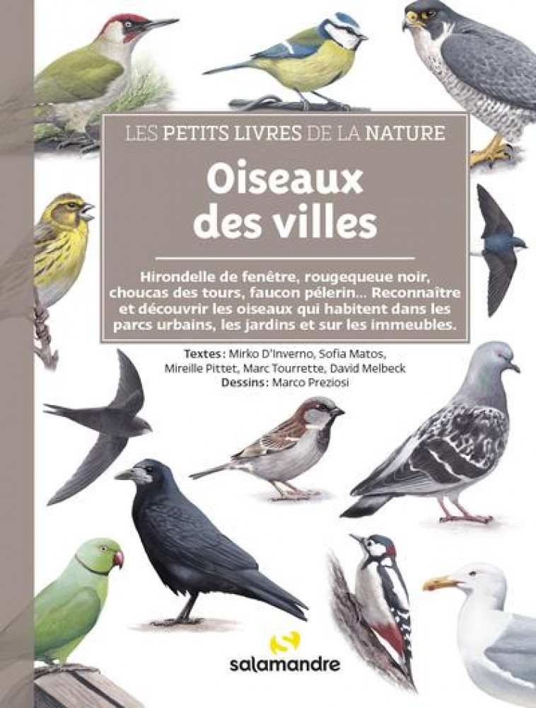 LES PETITS LIVRES DE LA NATURE - OISEAUX DES VILLES - MELBECK/D-INVERNO - LA SALAMANDRE