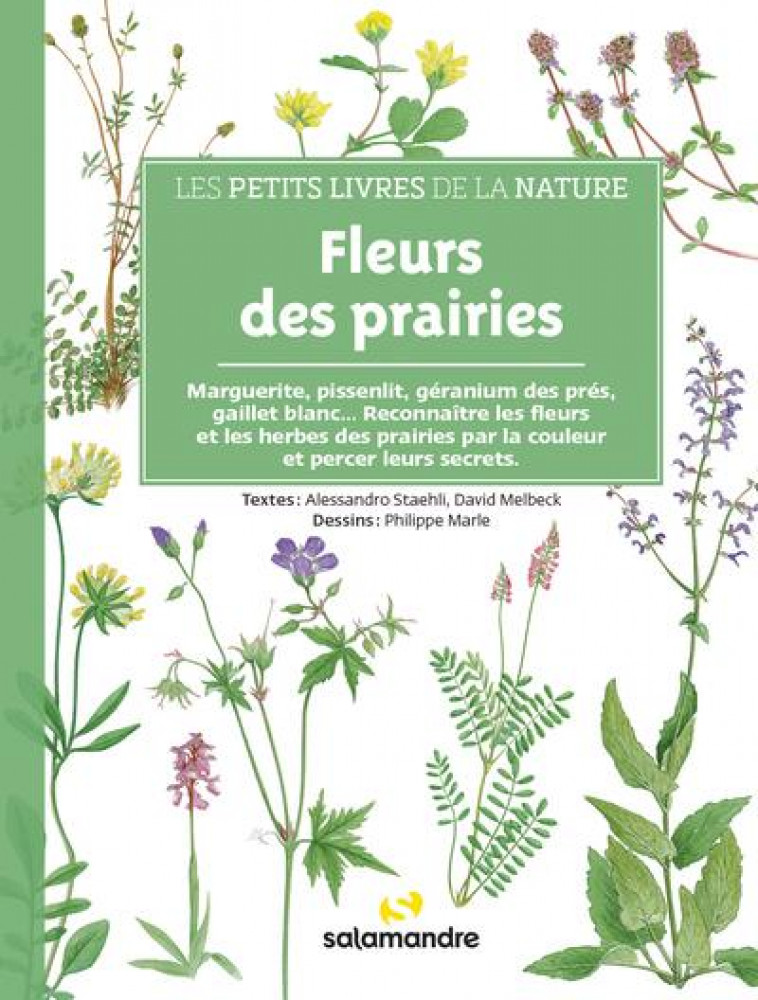 LES PETITS LIVRES DE LA NATURE - FLEURS DES PRAIRIES - MELBECK/STAEHLI - LA SALAMANDRE