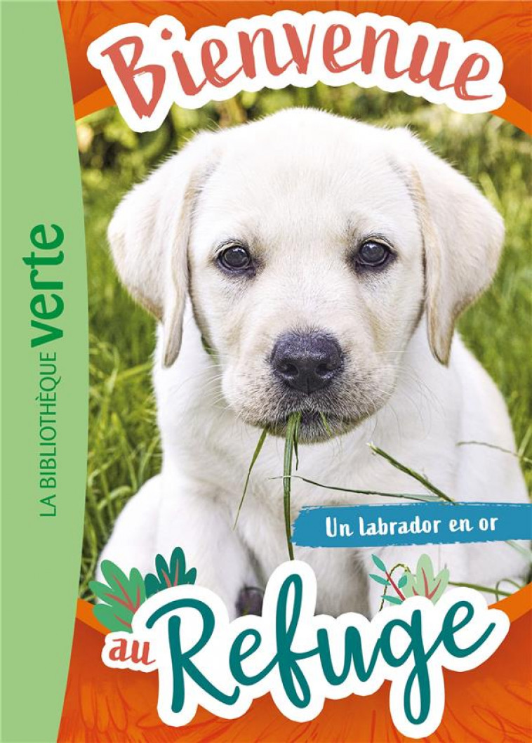 BIENVENUE AU REFUGE - T08 - BIENVENUE AU REFUGE 08 - UN LABRADOR EN OR - LIVRE HACHETTE - HACHETTE