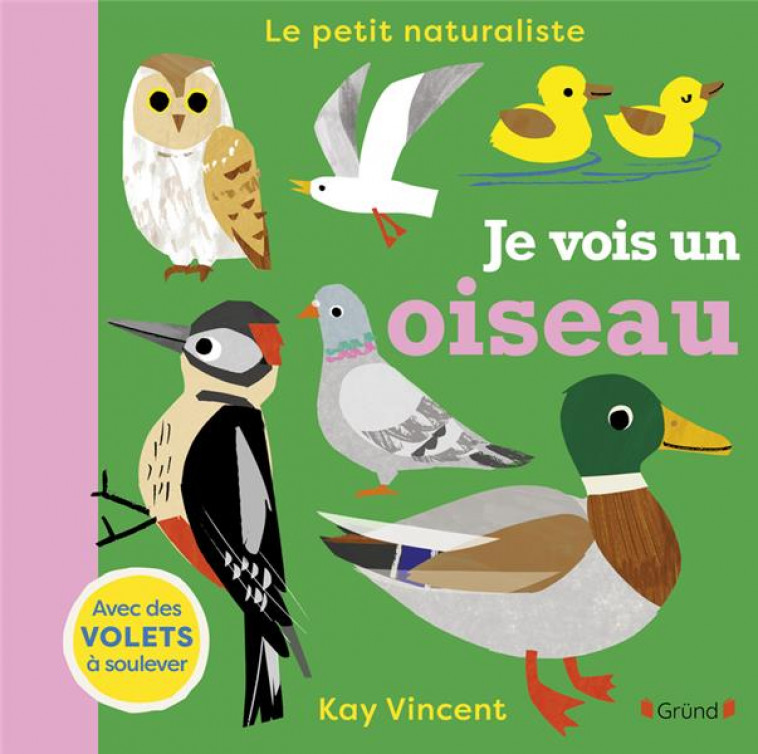 JE VOIS UN OISEAU - VINCENT KAY - GRUND