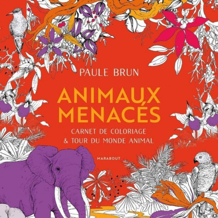 FAUNE FRAGILE - CARNET DE COLORIAGE ET TOUR DU MONDE ANIMAL - BRUN PAULE - MARABOUT