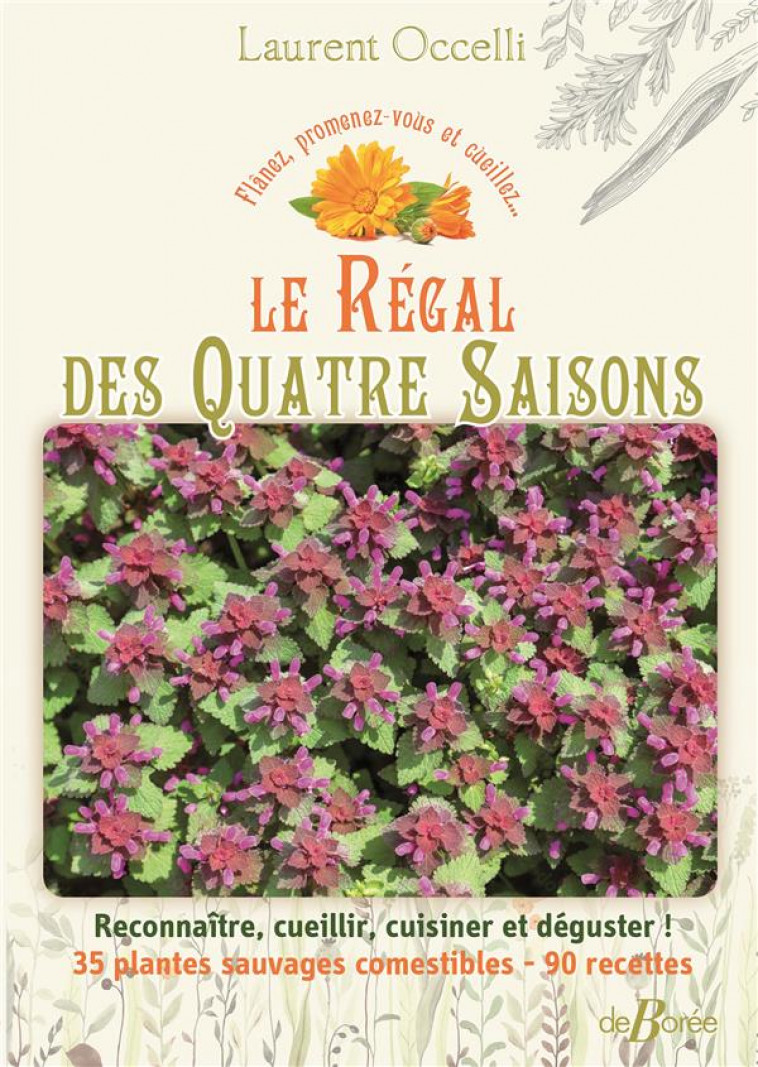 LE REGAL DES QUATRE SAISONS - OCCELLI LAURENT - DE BOREE