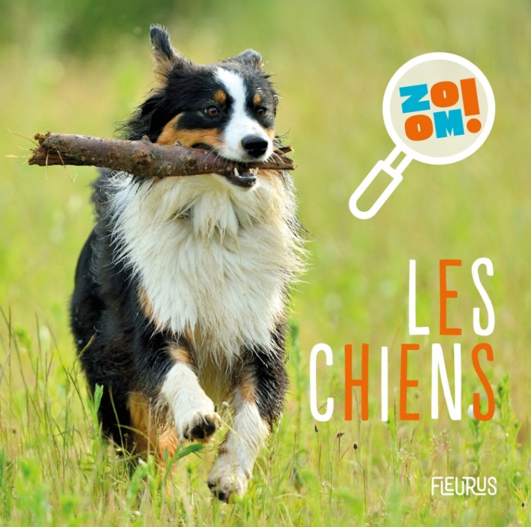 Les chiens - Carole Bourset - FLEURUS