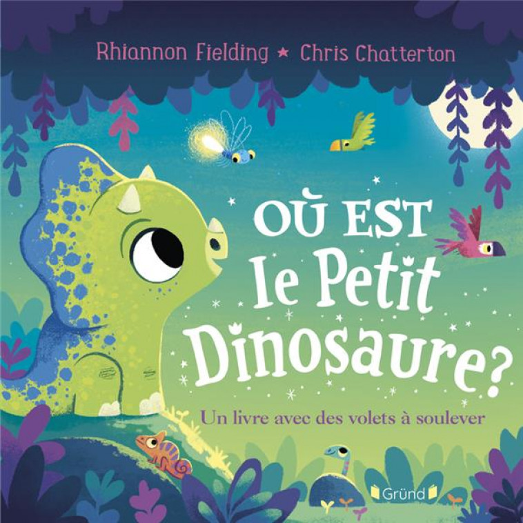 OU EST LE PETIT DINOSAURE ? UN LIVRE AVEC DES VOLETS A SOULEVER - FIELDING/CHATTERTON - GRUND