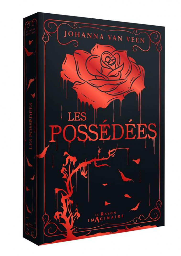 LES POSSEDEES - VAN VEEN JOHANNA - HACHETTE