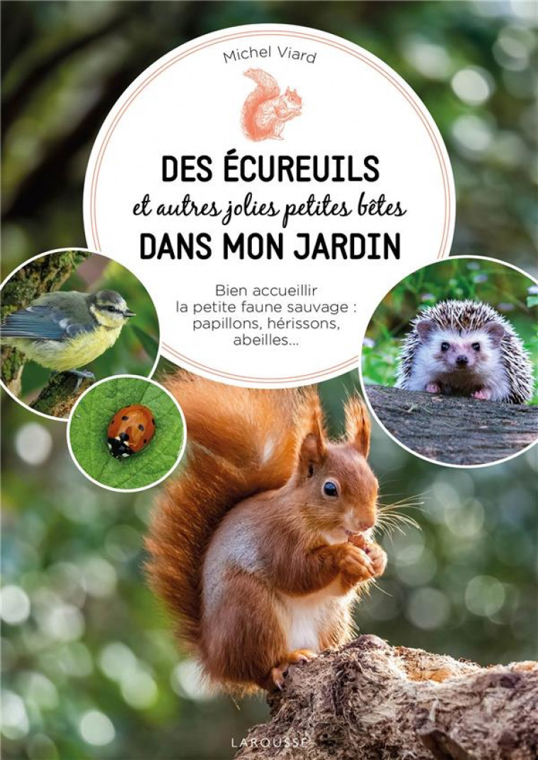 DES ECUREUILS DANS MON JARDIN - VIARD MICHEL - LAROUSSE