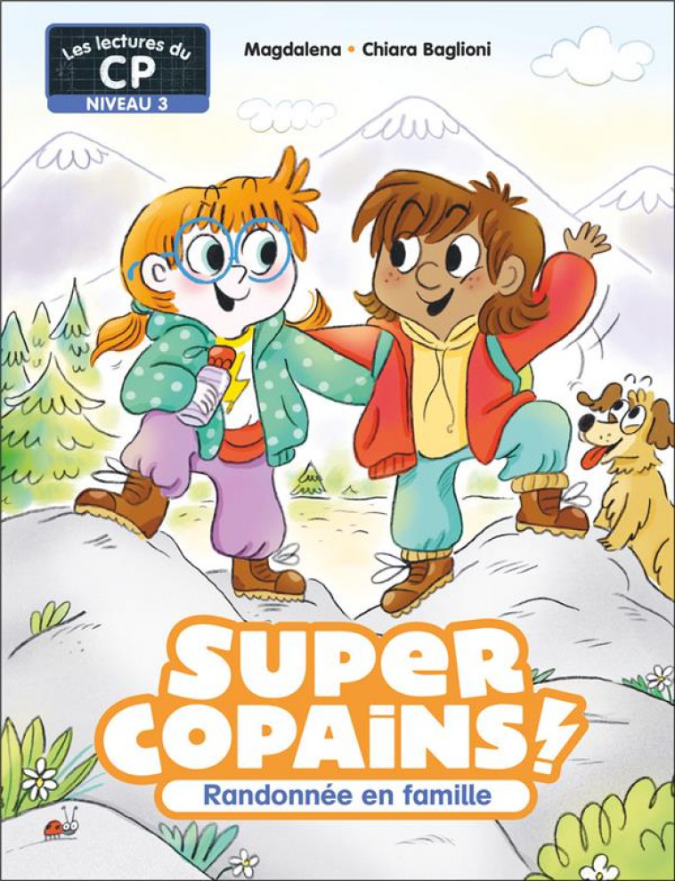 SUPER COPAINS ! - T08 - RANDONNEE EN FAMILLE - NIVEAU 3 - MAGDALENA/BAGLIONI - FLAMMARION