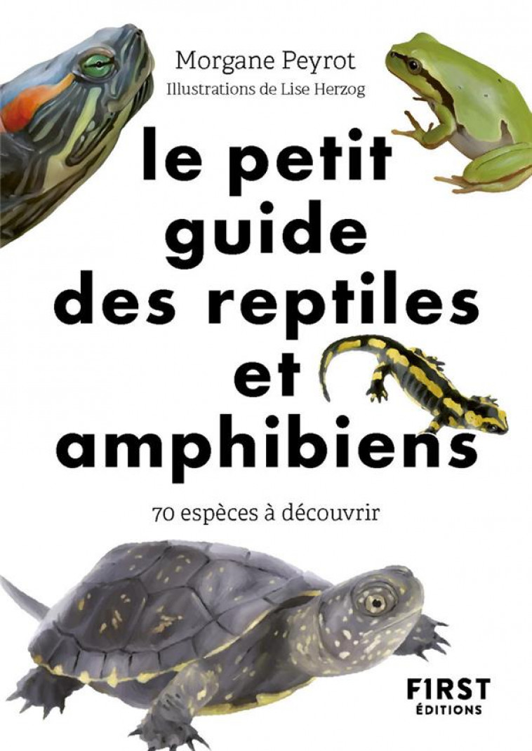 LE PETIT GUIDE DES REPTILES ET AMPHIBIENS - PEYROT/HERZOG - FIRST