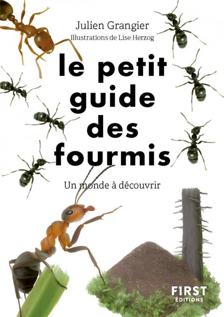 LE PETIT GUIDE DES FOURMIS - GRANGIER/HERZOG - FIRST