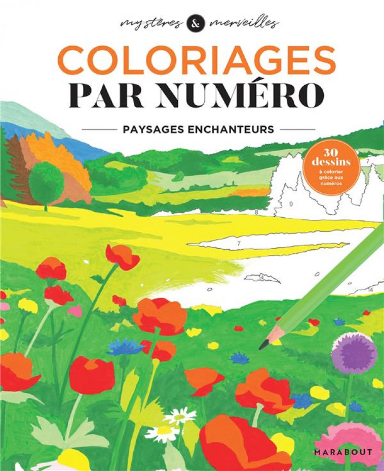 PAYSAGES ENCHANTEURS - COLLECTIF - MARABOUT