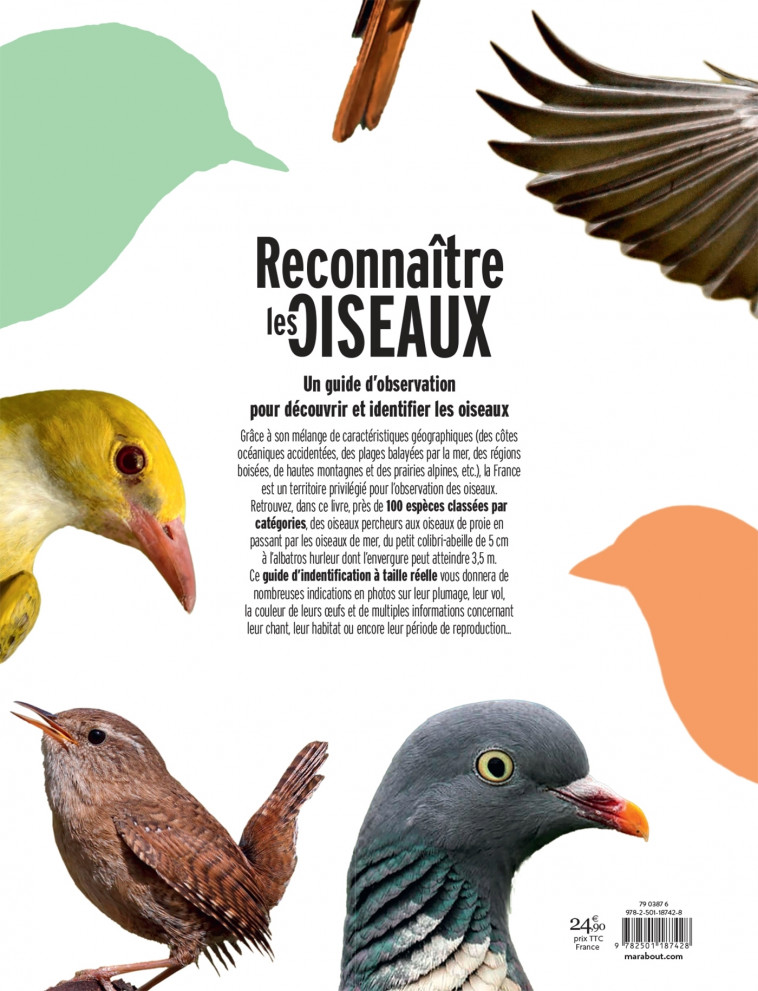 Reconnaître les oiseaux - Hajeski Nancy J. - MARABOUT