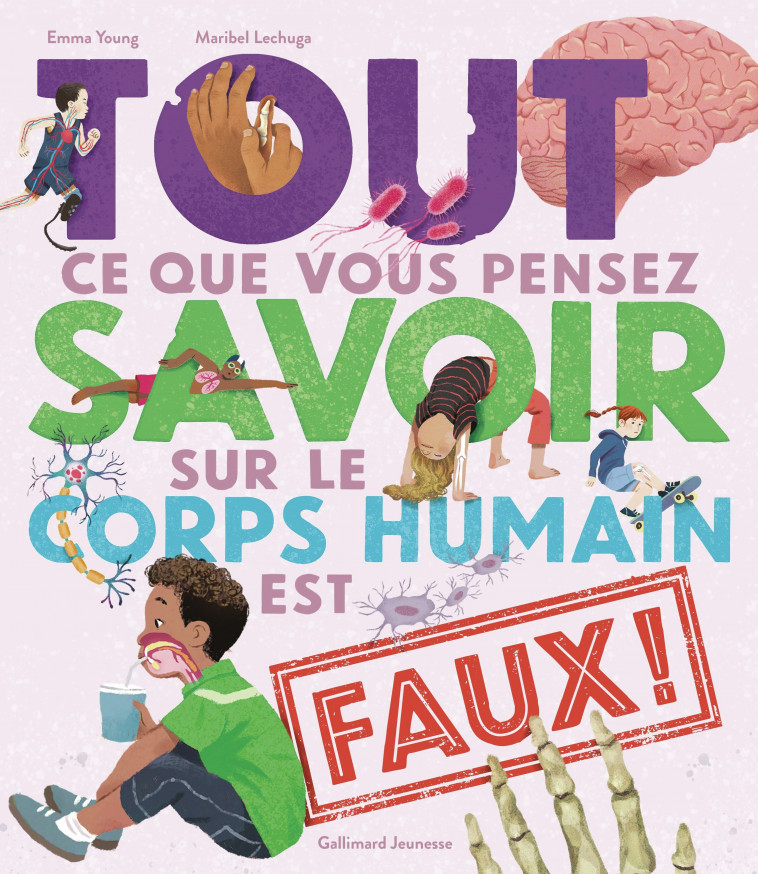 Tout ce que vous pensez savoir sur le corps humain est faux ! - EMMA YOUNG , Young Emma, Lechuga Maribel, Viennot Bérengère - GALLIMARD JEUNE